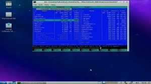 Apple Mac Mini a1176 2007 год - установка Linux Ubuntu пошаговая инструкция