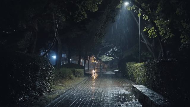 ASMR NIGHT RAIN | 수면을 위한 천둥 & 폭우 빗소리 | 오래된 밤 공원 강한 비, 천둥