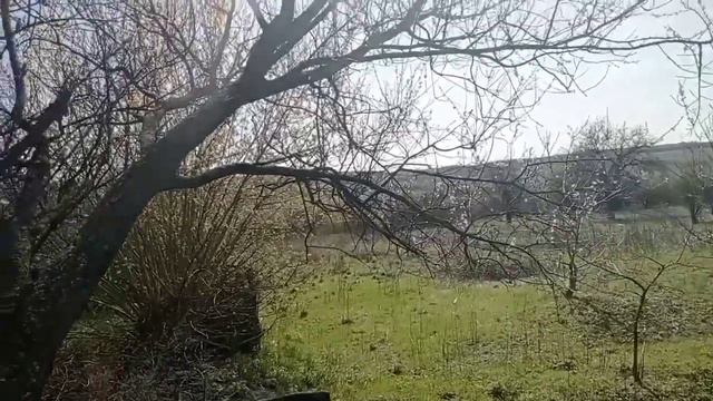 Теща и зять грибная история 🍄/Истории Любви. смотреть онлайн