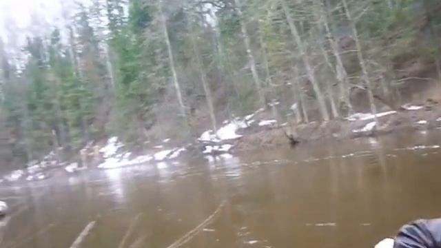 А мне бы голубем смотреть онлайн