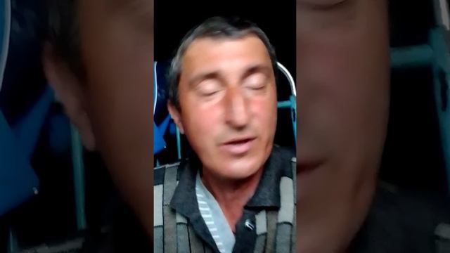 пою сектор Газа белая горячка смотреть онлайн