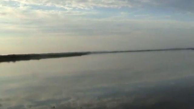 Бобер атаковал рыболова смотреть онлайн