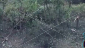 ? Эпичное видео боя русского воина  с хохлопитеками и коментарий  бойца в конце видео?