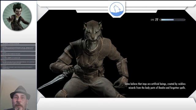 Skyrim Companions Run смотреть онлайн