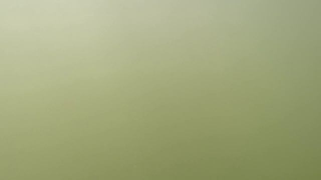 Охота на Толстолоба!!! река Дон смотреть онлайн