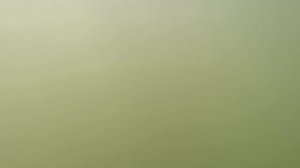 Охота на Толстолоба!!! река Дон