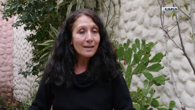 RLTV_María del Carmen Garcés y sus trabajos del Che, Pombo y Domitila Chungara смотреть онлайн