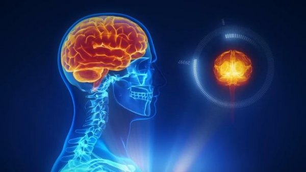 Classical Music 432 Hz - Mozart - Classical Music for Brain Power