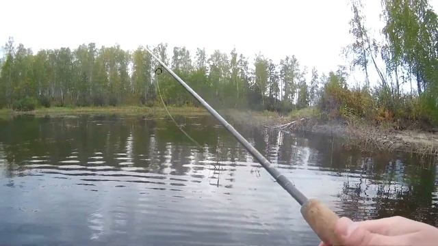 Осенние Аргази. Ловля щуки осенью на воблеры. смотреть онлайн