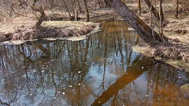 Святой источник. Рядом с деревней. смотреть онлайн