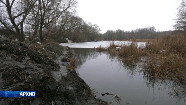 Кто займётся спасением Усманки? смотреть онлайн