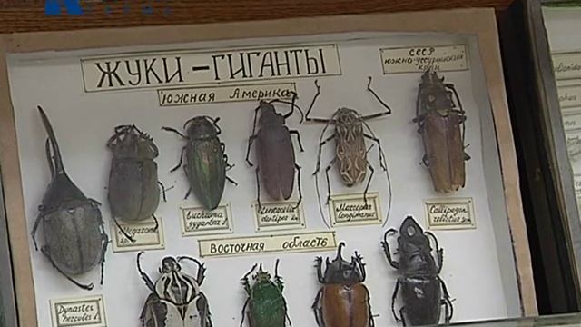 Новые правила присвоения ученой степени смотреть онлайн