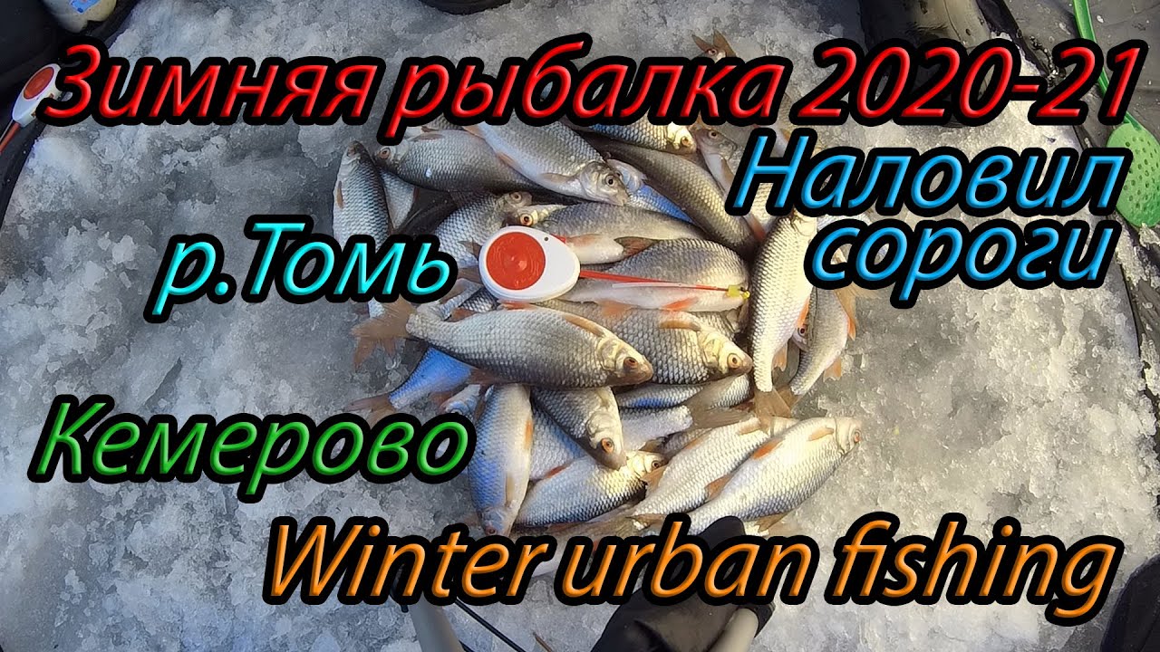 Зимняя рыбалка 2020-21 в черте города Кемерово под Кузнецким мостом наловил сороги