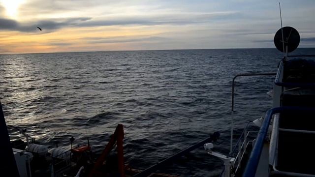 Баренцево море. Экспедиция, 2012 г. Barents Sea. Expedition, 2012