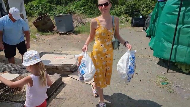 Покупаем петуха на рынке смотреть онлайн