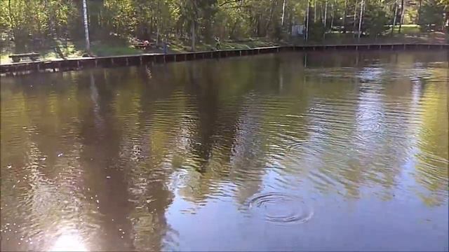 Паста и резина работает до запуска, ну а после железо. Клёвое место, Лосиный остров, спот-зона. смотреть онлайн