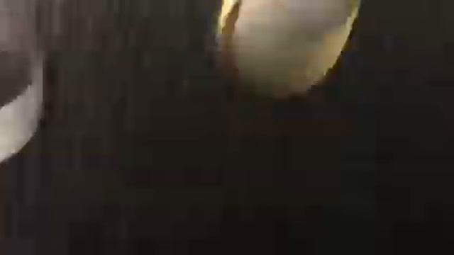 серебристый лифт МЛМ в магазине сантехника смотреть онлайн