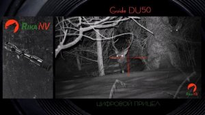 Guide DU50 ночной цифровой прицел. Видео из дикой природы, реальные кадры.