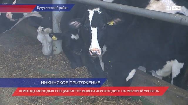 Молодых специалистов в сельском хозяйстве Нижегородской области поддержат и в новом году смотреть онлайн