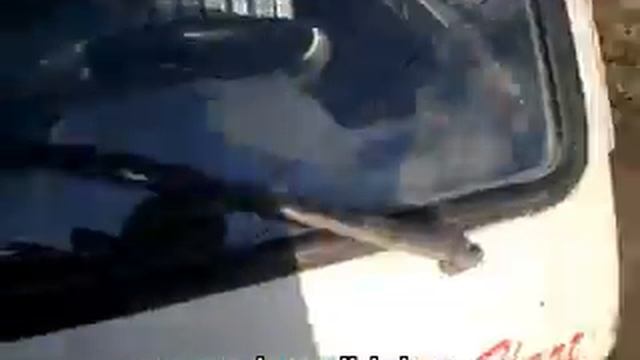 отбор образцов фин смотреть онлайн