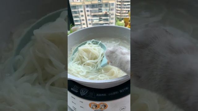 Cat Cooking Food ASMR || Meat Dumplings in Spicy Sauce || Chinese Food Recipes смотреть онлайн