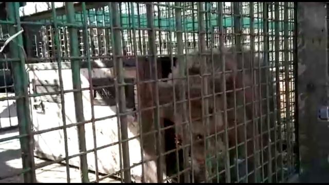 Матрена смотреть онлайн