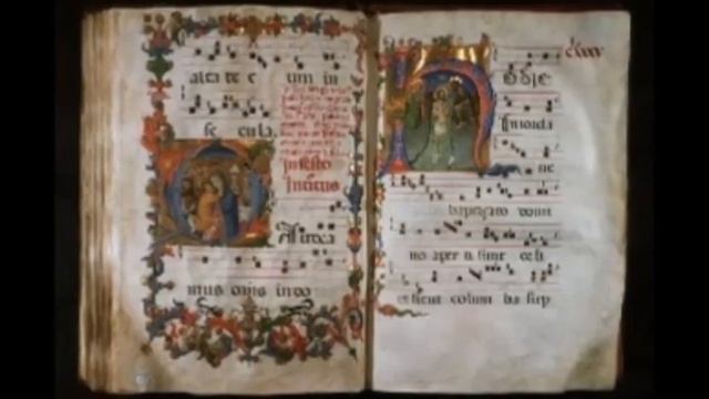 The Phoenix Oracle Tarot reading and Home or Office Cleansing Ritual смотреть онлайн