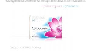 Лотосоник