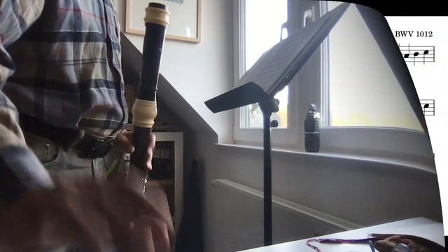 J. S. Bach, Gavotte BWV 1012, for bass recorder смотреть онлайн
