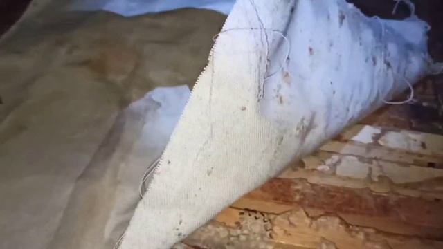 Зимовка пчел в омшанике 2021 смотреть онлайн