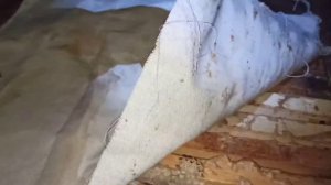 Зимовка пчел в омшанике 2021