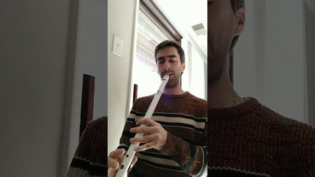 Karate Kid - training theme (low D whistle cover) смотреть онлайн
