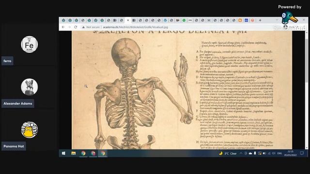 Artistry and Anatomy смотреть онлайн
