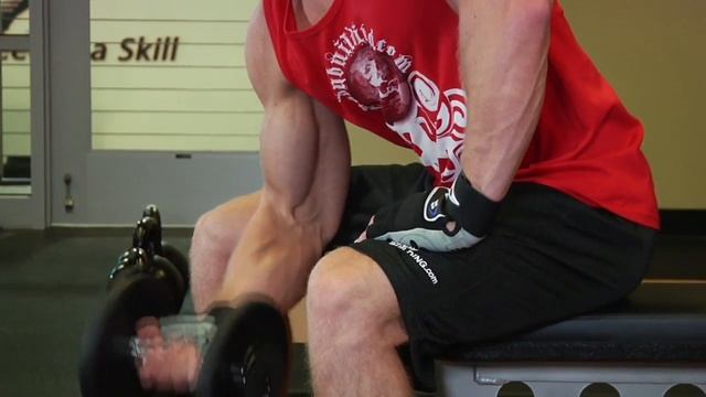Concentration Curls - Biceps Exercise - Bodybuilding.com смотреть онлайн