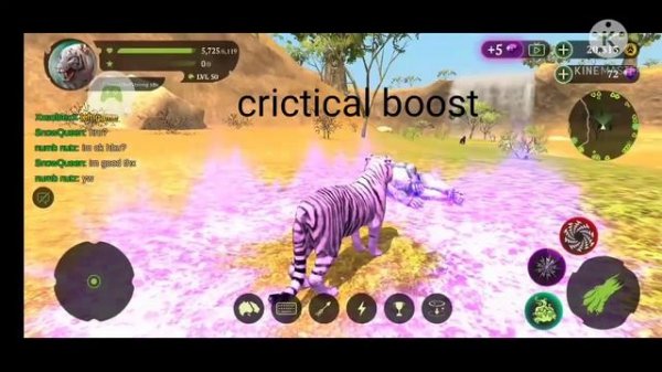 Using All Skills in the Tiger Online Simulator