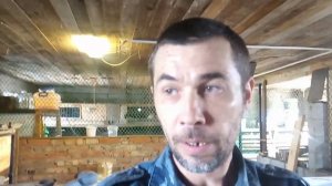 Насест для кур своими руками, размеры.