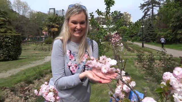 Цветение сакуры в Сочи Парк Ривьера Весна в Сочи смотреть онлайн