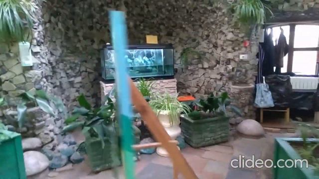 Зимний сад в Гомеле смотреть онлайн