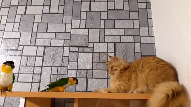 Шерлок и Каики 1 смотреть онлайн