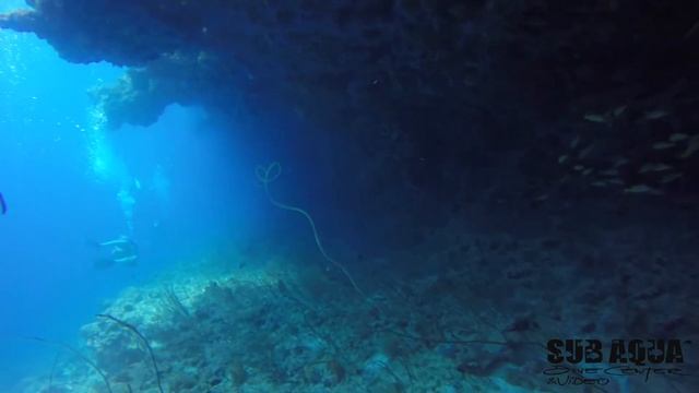 Super drift dive! - Raa atoll, Maldives diving 2016. смотреть онлайн