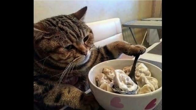 Приколы! ЛЕГЕНДА О ПАЛЬЦАХ - МЕМЫ!!! Смешные видео от – Доми шоу! смотреть онлайн