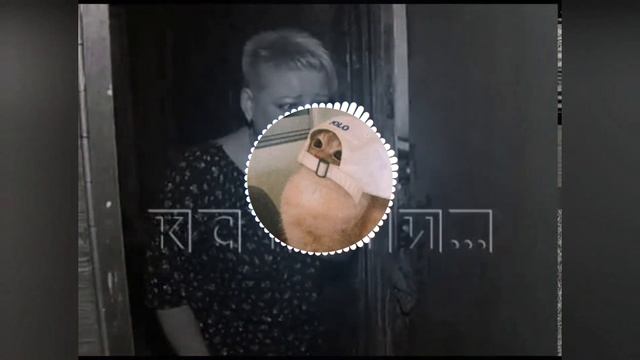 Как можно здесь жить (ремикс)