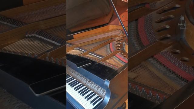 Антикварный рояль gustav fiedler leipzig смотреть онлайн