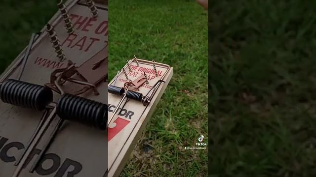 DIY Survival Squirrel Trap: Catch Your Own Food in the Wild! смотреть онлайн