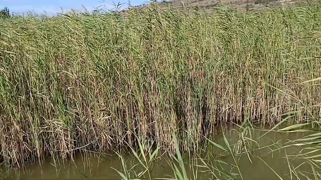 Красивый Дом