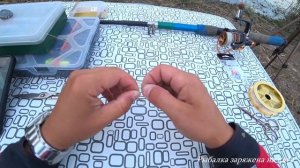 Самая простая и уловистая снасть на сазана, карпа, карася. Закидушка (донка) на карпа.