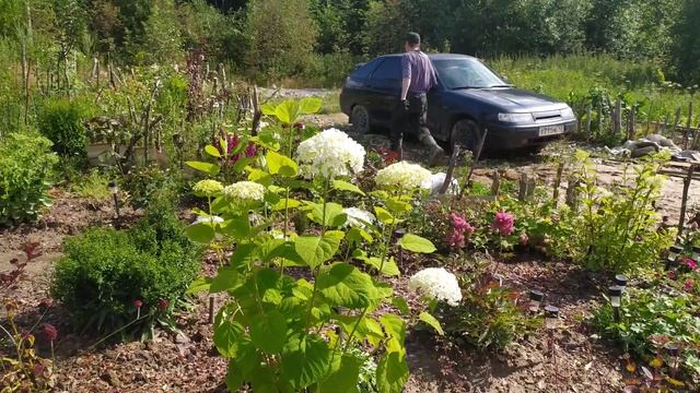 Так мы отмечаем 15 годовщину нашей свадьбы | Крыша для сарая смотреть онлайн