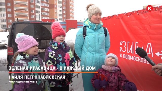 КРТВ. Зелёная красавица - в каждый дом смотреть онлайн