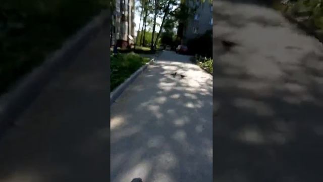 Поездка по Новосибирску смотреть онлайн