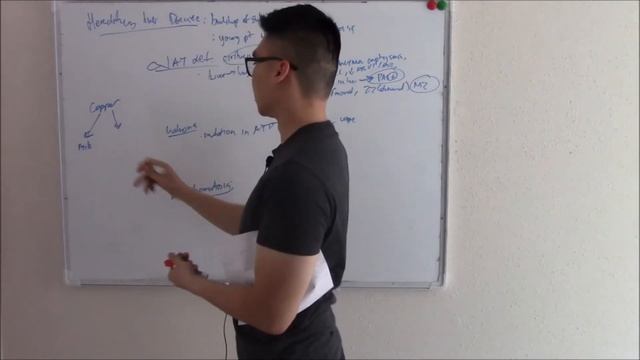 USMLE GIT 12: Liver Pathology (Cirrhosis, Hereditary Diseases and Cancer!) смотреть онлайн